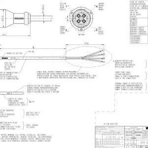 Cable With Socket
