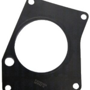 Strap Plate